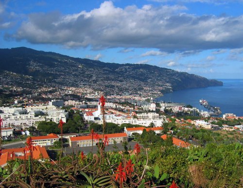 Discover Portugal's Amazing Islands of Madeira