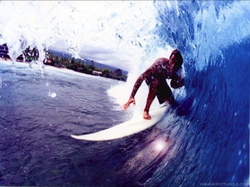 Surf’s Up: Surf-Friendly hosteli diljem svijeta